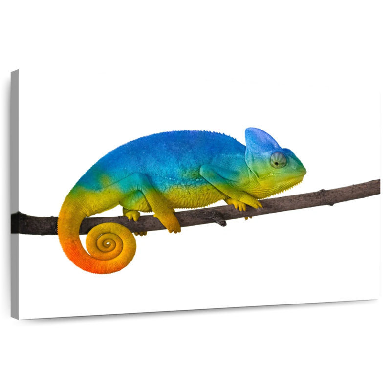 Caméléon bleu éclatant Brampt, H 30 po x l 45 po