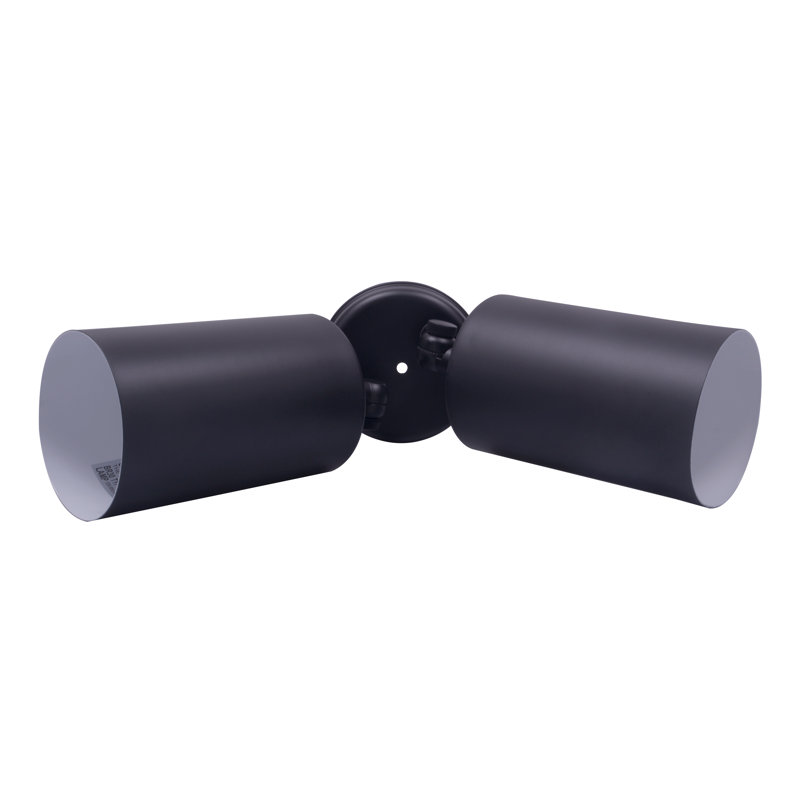 Black Double Cylinder Adjustable Security Flood Light