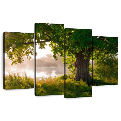 Harnek Solitary Oak Tree