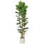  180cm Artificial Fiddle Leaf Fig Tree with Solid Wood Trunks-2104939309