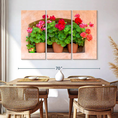 Harnek Potted Geraniums