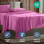 Ensemble de draps doux et respirant Hotel Collection-238553871-238553859