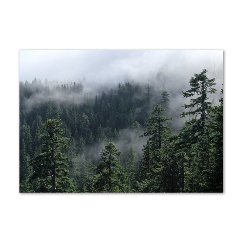 Forest Fog - Wrapped Canvas Print