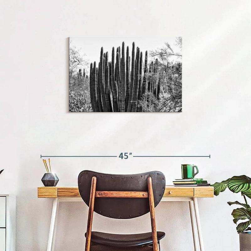 Harnek - Arizona noir - gros cactus, H 20 po x l 30 po