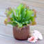 Faux Plant