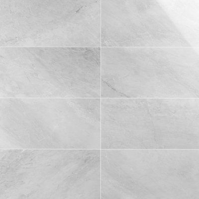 Ice 12x24 Honed Dolomitic Marble Tile