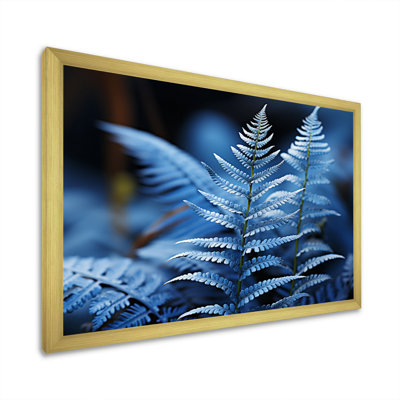 " Ferns Sapphire Tranquility "