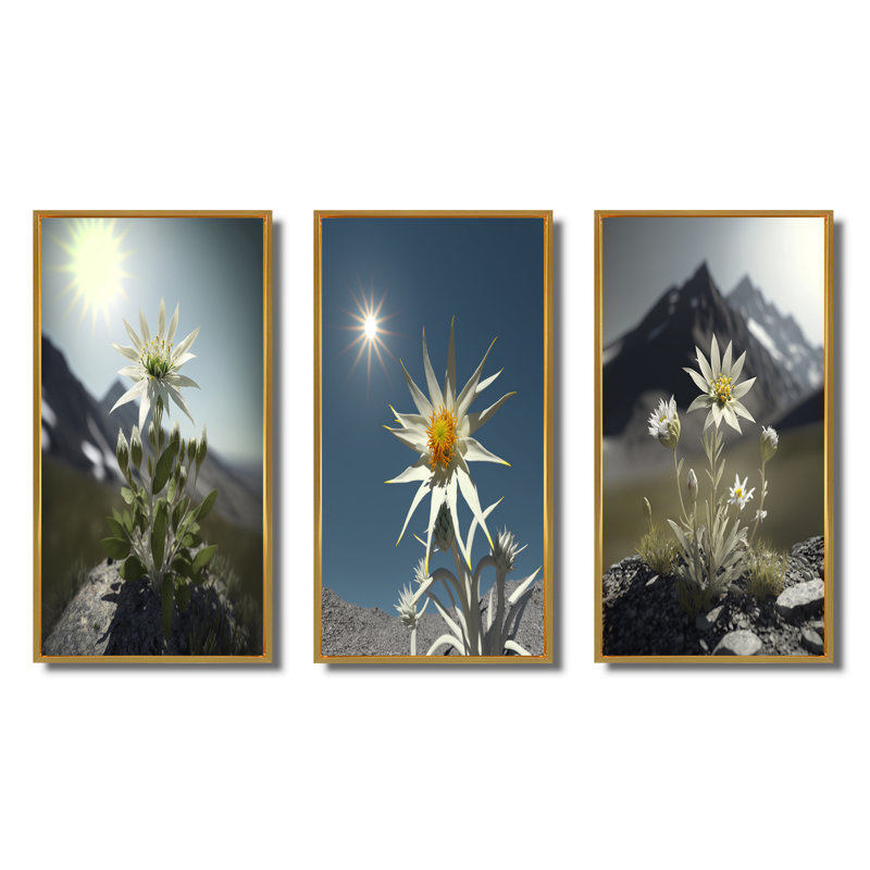 «Blossoming Edelweiss Flower Under Sun», 3 pièces, Cadre flottant doré, H 40 po x l 60 po