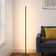 Allana 57.5'' LED Novelty Floor Lamp