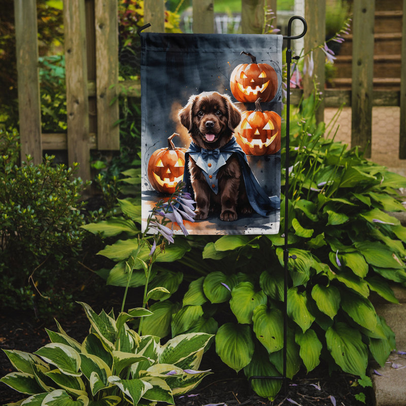 Drapeau de jardin chiot Halloween, Chocolat Terre-Neuve