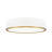 Florez 20.25 inch 1 Light Flush Mount in Modern Gold-1357761509