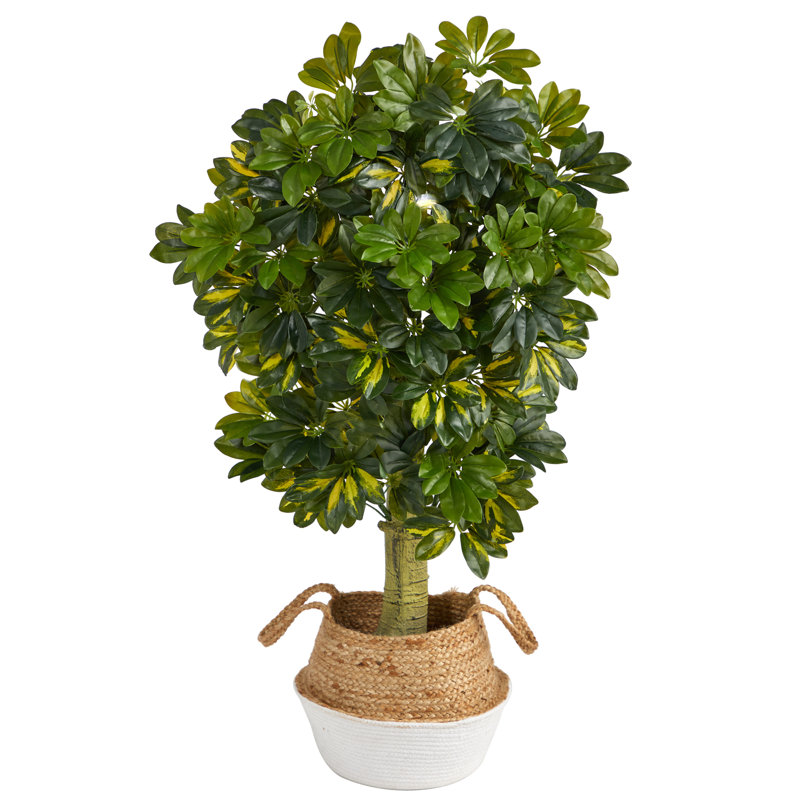 48'' Faux Foliage Tree in Basket, Tan/White