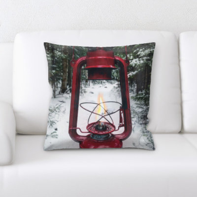 Weinberg Microsuede Throw Pillow