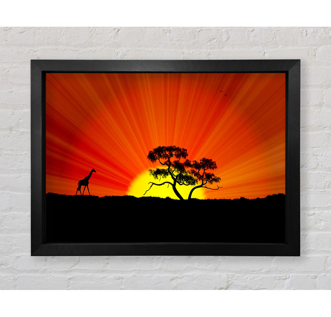 African Sunblaze Gerahmter Druck Wandkunst