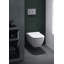 Wall Hung Toilet with Soft Close Seat
