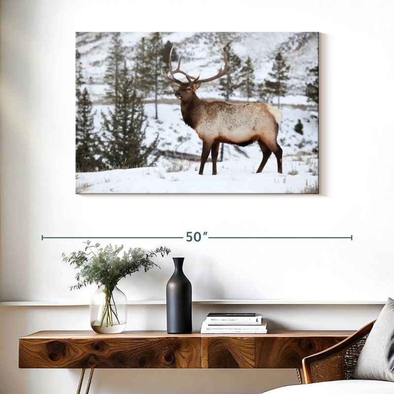 Wapiti d'hiver, H 26 po x l 39 po