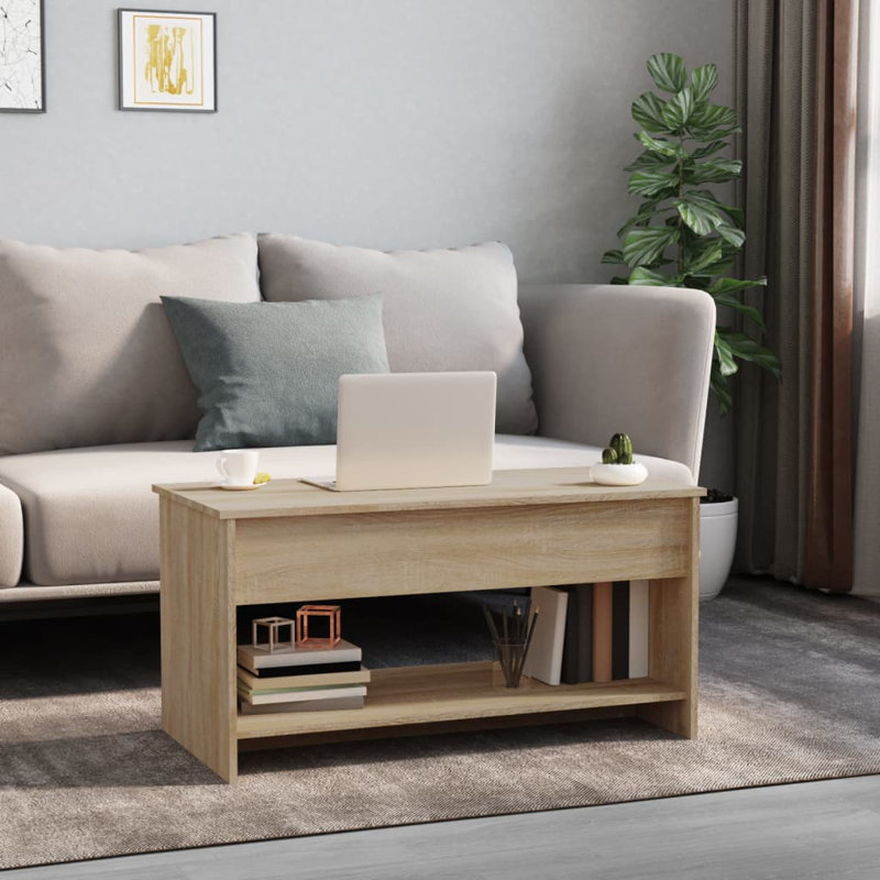Jarosłav Frame Coffee Table with Storage, Light Brown