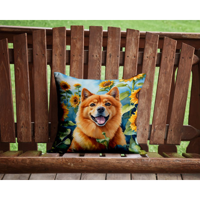 Outdoor Throw Pillow
