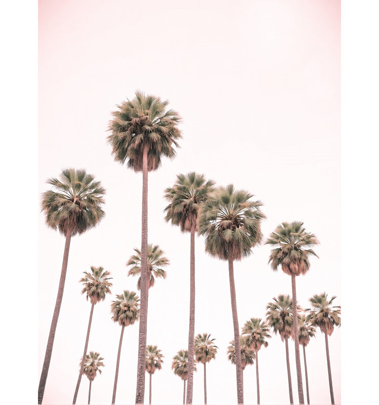 «Blush Pink Palms» par Josie George - Nature morte, art mural, Size, Format, Couleur du cadre