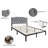 Dshawn Upholstered Panel Bed-589294864-589294868