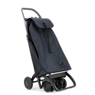 41.34'' H x 15.55'' W Cart with Wheels