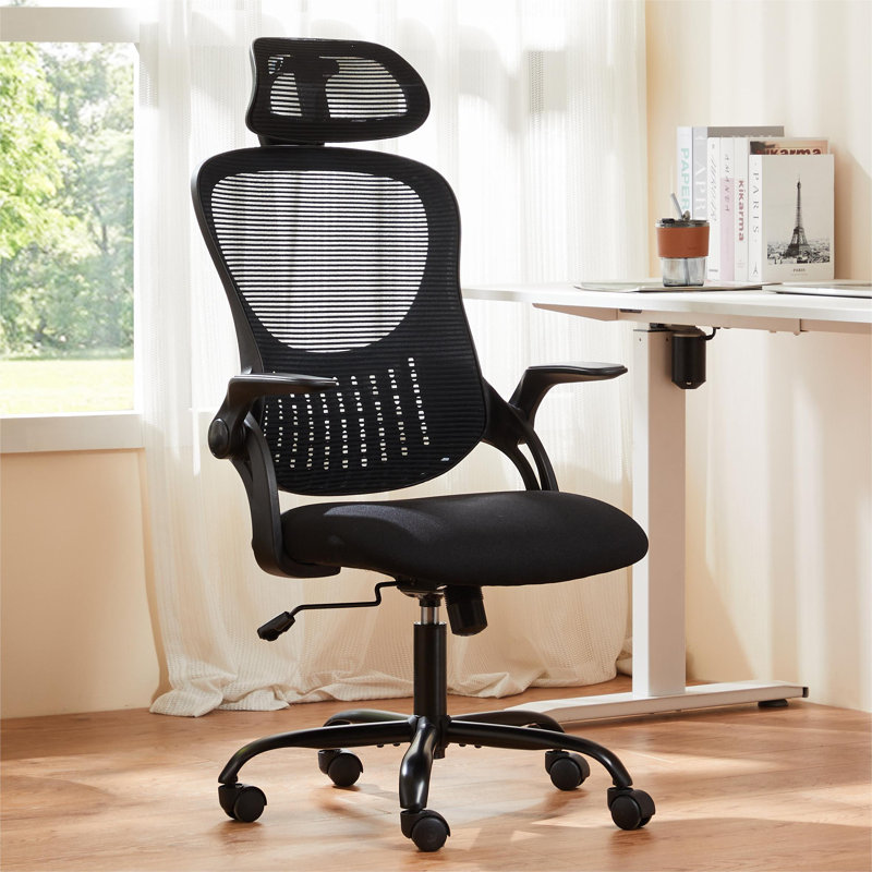 Riegelsville Mesh Office Task Chair with Headrest, Black