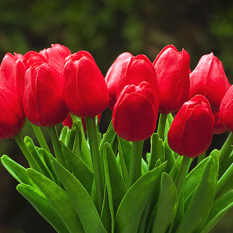 Silk Tulip Arrangement in Vase, Red