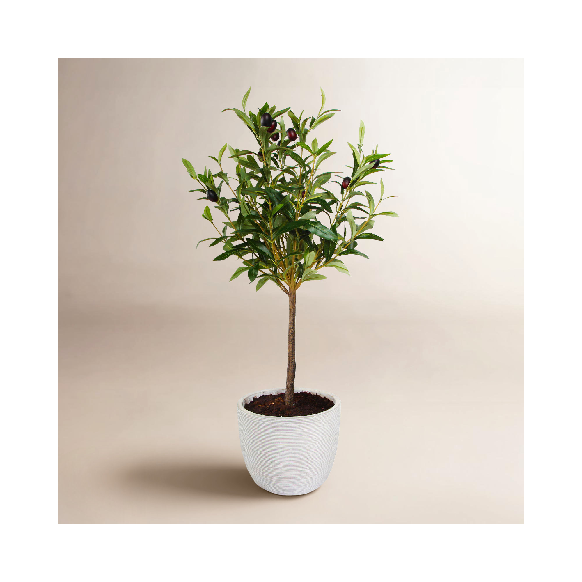 28'' Faux Olive Tree Tree in Pot