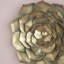Plaque murale succulente D10x1,4 "