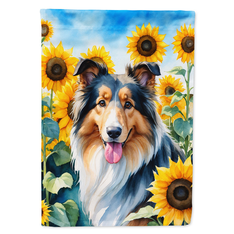 Drapeau de la maison du tournesol Malamute d'Alaska, Colley