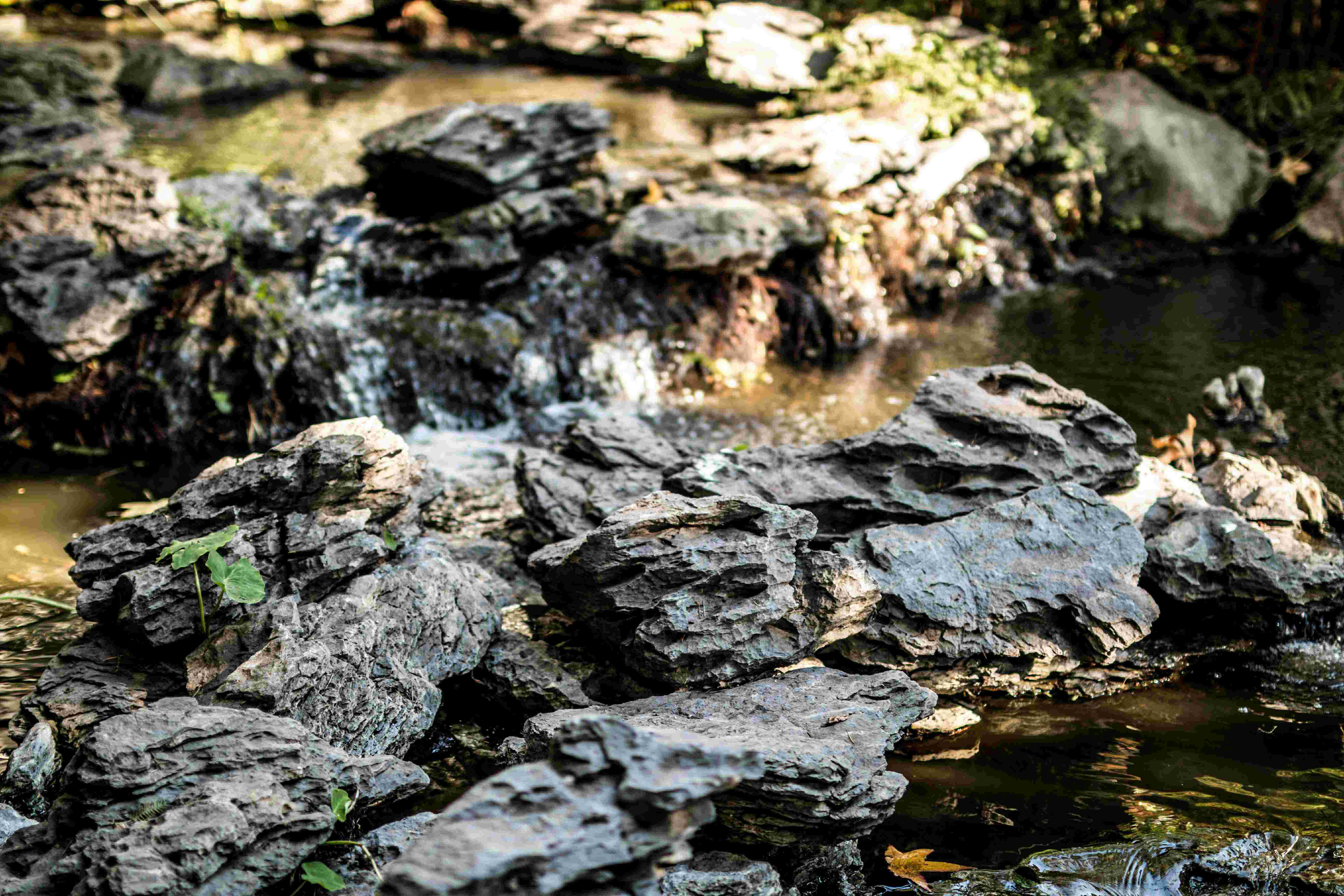 Heaping Rocks Photography Millwood Pines River Rocks Photography - Wrapped Canvas Photograph ...