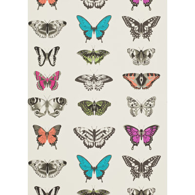 Papilio Wallpaper