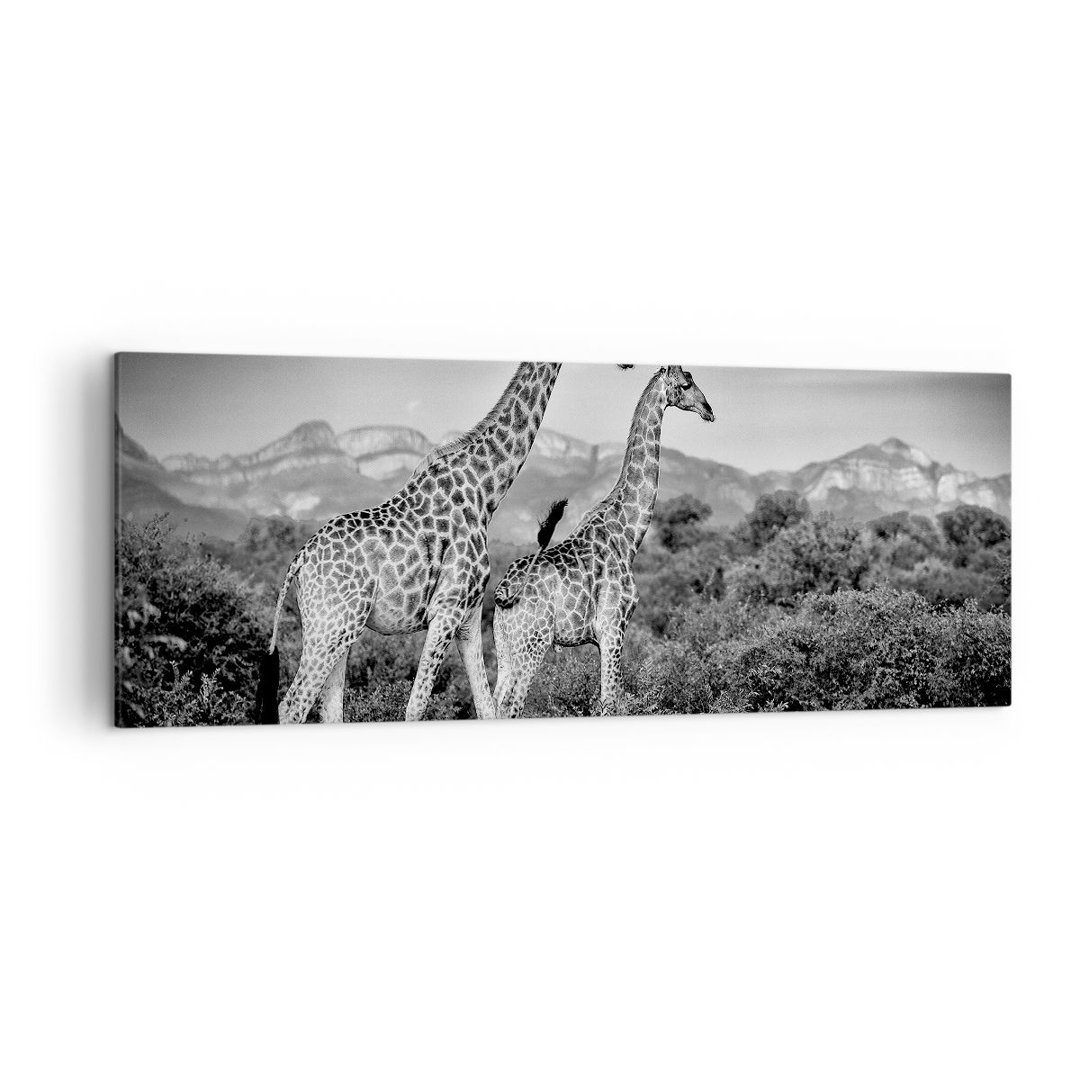 Leinwandbild Giraffes Black and White