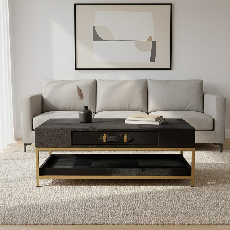 Schonbrunn Frame Coffee Table with Storage