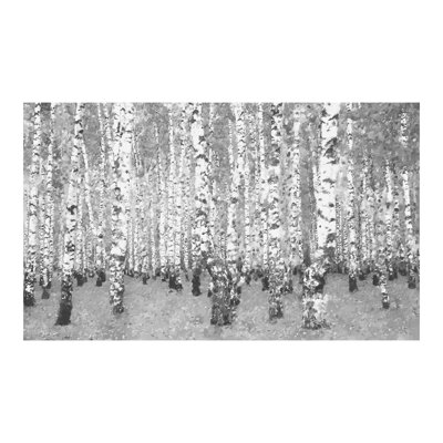 Autumnal Birch Forest 4.5m x 270cm Wallpaper Mural