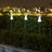Low Voltage Solar Powered LED Pathway Light Pack