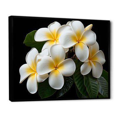 Blanc pureté de Plumeria Essence florale I - art mural Plumeria