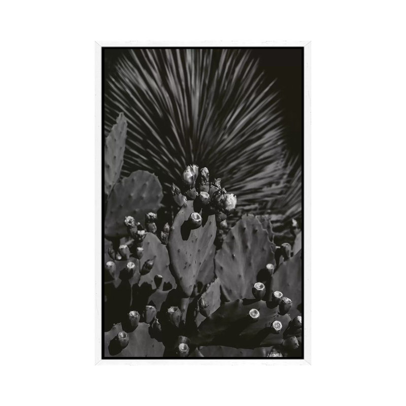 Monochrome Cactus by Bethany Young - Print on Canvas, White Framed, 101.6cm H x 66.04cm W x 3.81cm D