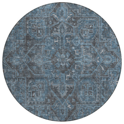 Washable Oriental Indoor / Outdoor Rug