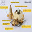 Système de douche complet avec valve brute-66130024