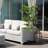 2pcs 71inch Black Olive Tree