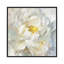 "Summer Joy I" par Danhui nai, reproduction d’art-54013907-54013905-54341013
