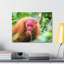 No Frame Print on Canvas-886952265