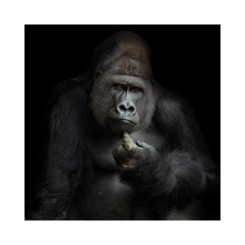 IMHO by Antje Wenner-Braun - Wrapped Canvas Print, 30.48 cm H x 30.48 cm W