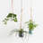 Nonce Handmade Ceramic Hanging Planter-164315402-164315403
