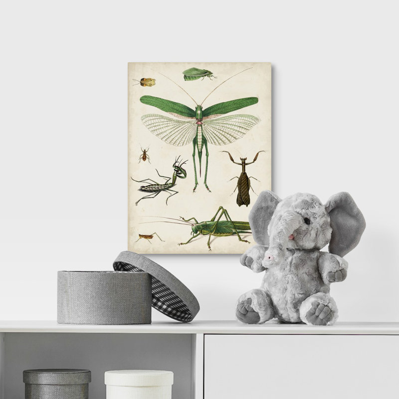 Art sur toile bugs kids, H 36 po x l 12 po x P 1,2 po, Toile tendue avec châssis