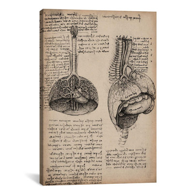 Carnet de croquis, Études d'organes humains par Leonardo Da Vinci - Estampe numérique sur toile tendue avec châssis