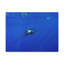 No Frame Print on Canvas-496944297
