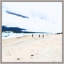 Holiday Dreams 2 Print by Thom Filicia