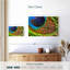 Plume de paon humide Kerner-108698565